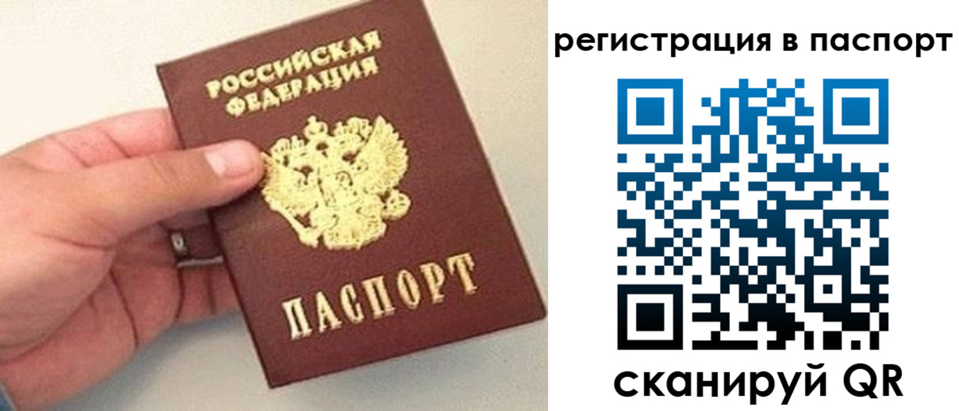 прописка законно в Бокситогорске